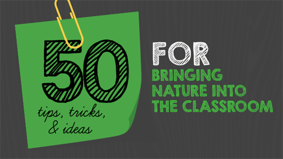 50 Ways To Bring Nature Into The Classroom Weareteachers