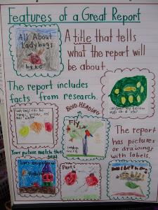 Fun book reports for 5th grade