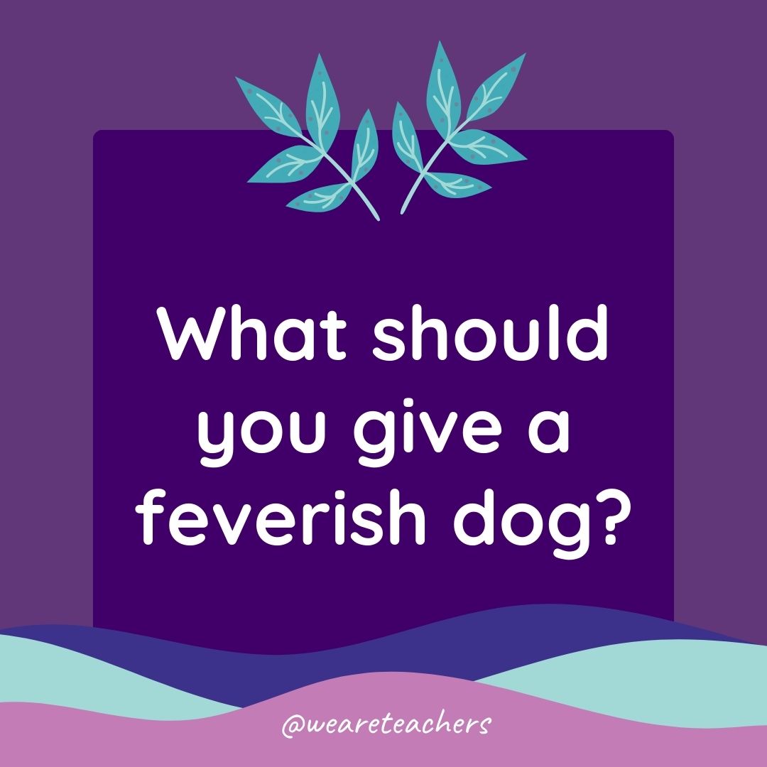 Animal Jokes for Kids