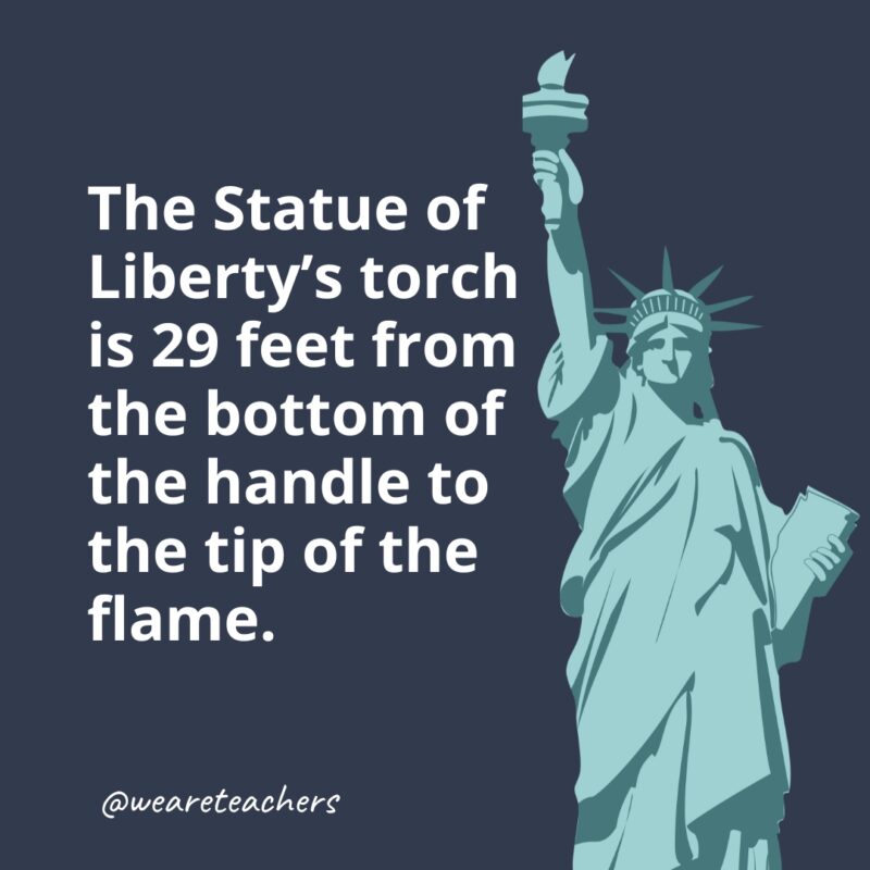 The Statue of Liberty's torch is 29 feet from the bottom of the handle to the tip of the flame.