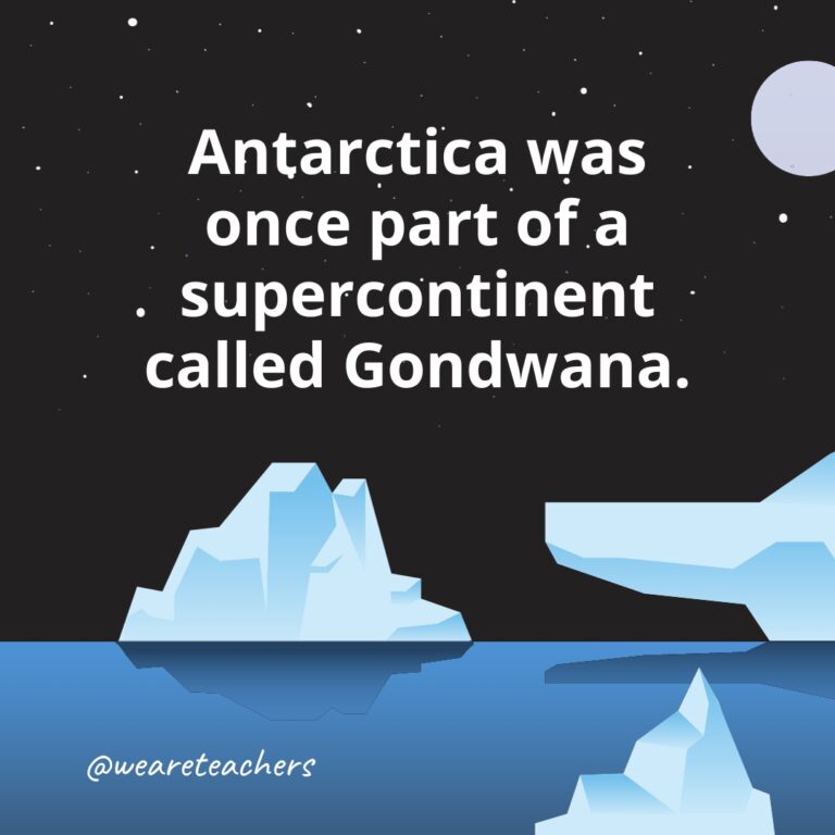 25 Fun Facts About Antarctica All Kids Should Know