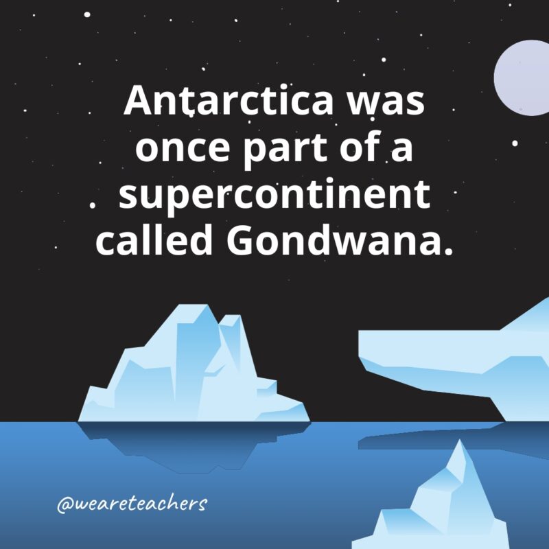 Antarctica was once part of a supercontinent called Gondwana as example of Fun Facts About Antarctica for Kids..