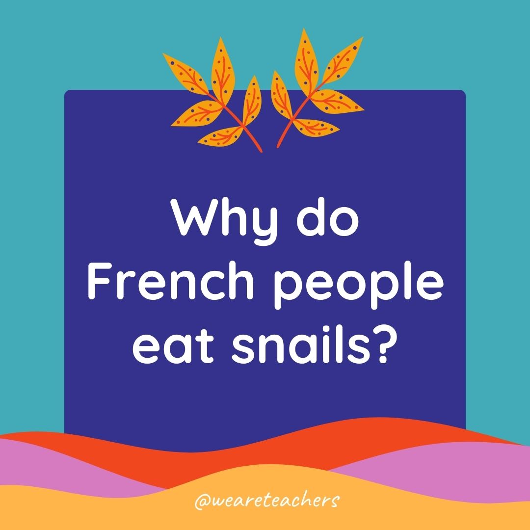 Animal Jokes for Kids