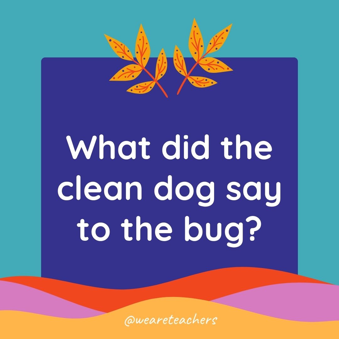 Animal Jokes for Kids