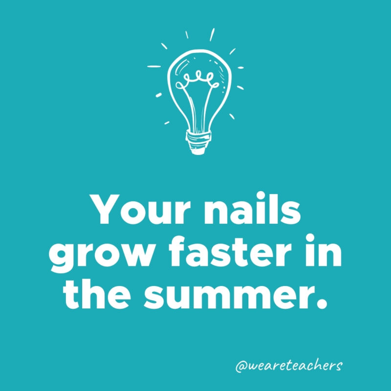 Your nails grow faster in the summer.- weird fun facts