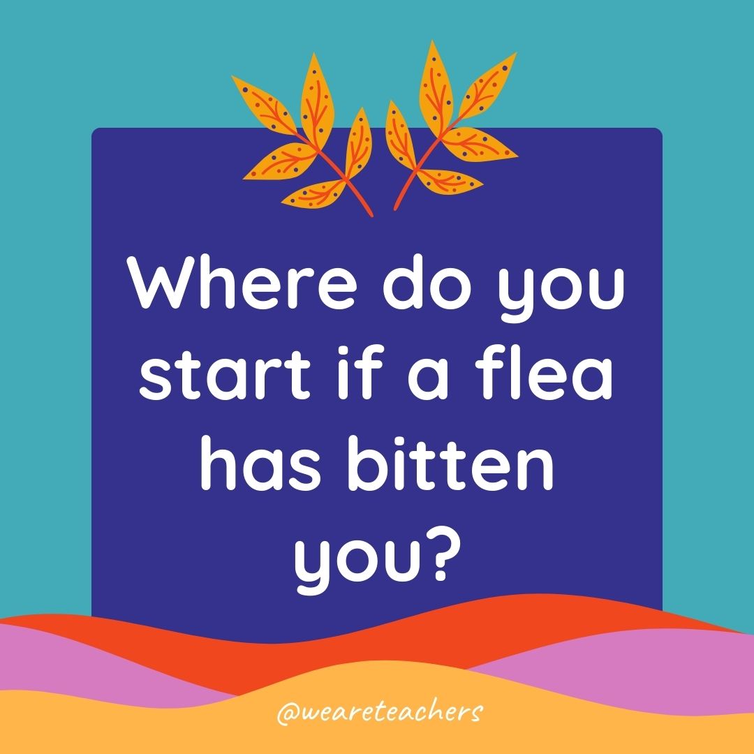 Animal Jokes for Kids