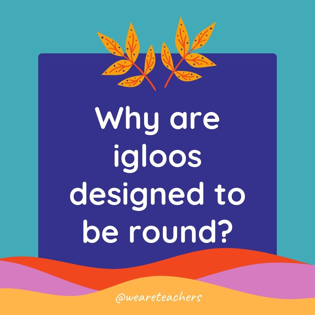 Animal Jokes for Kids