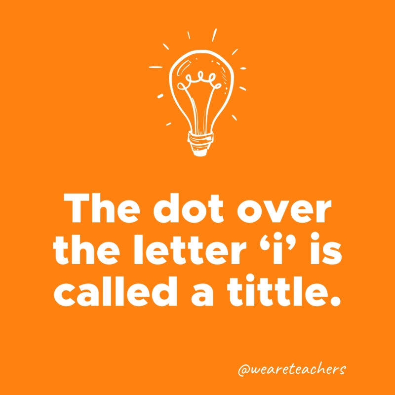 The dot over the letter 'i' is called a tittle.- weird fun facts