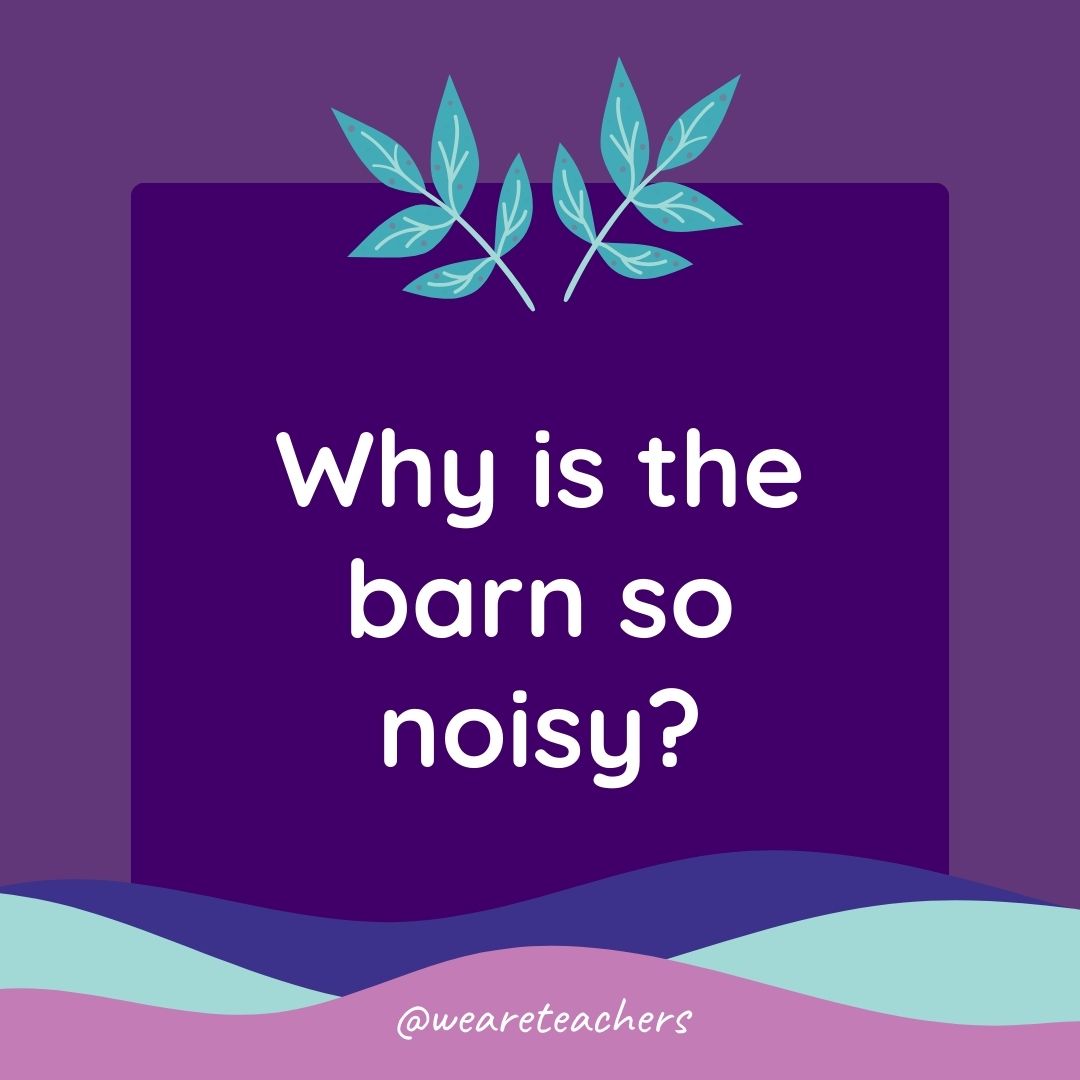 Animal Jokes for Kids