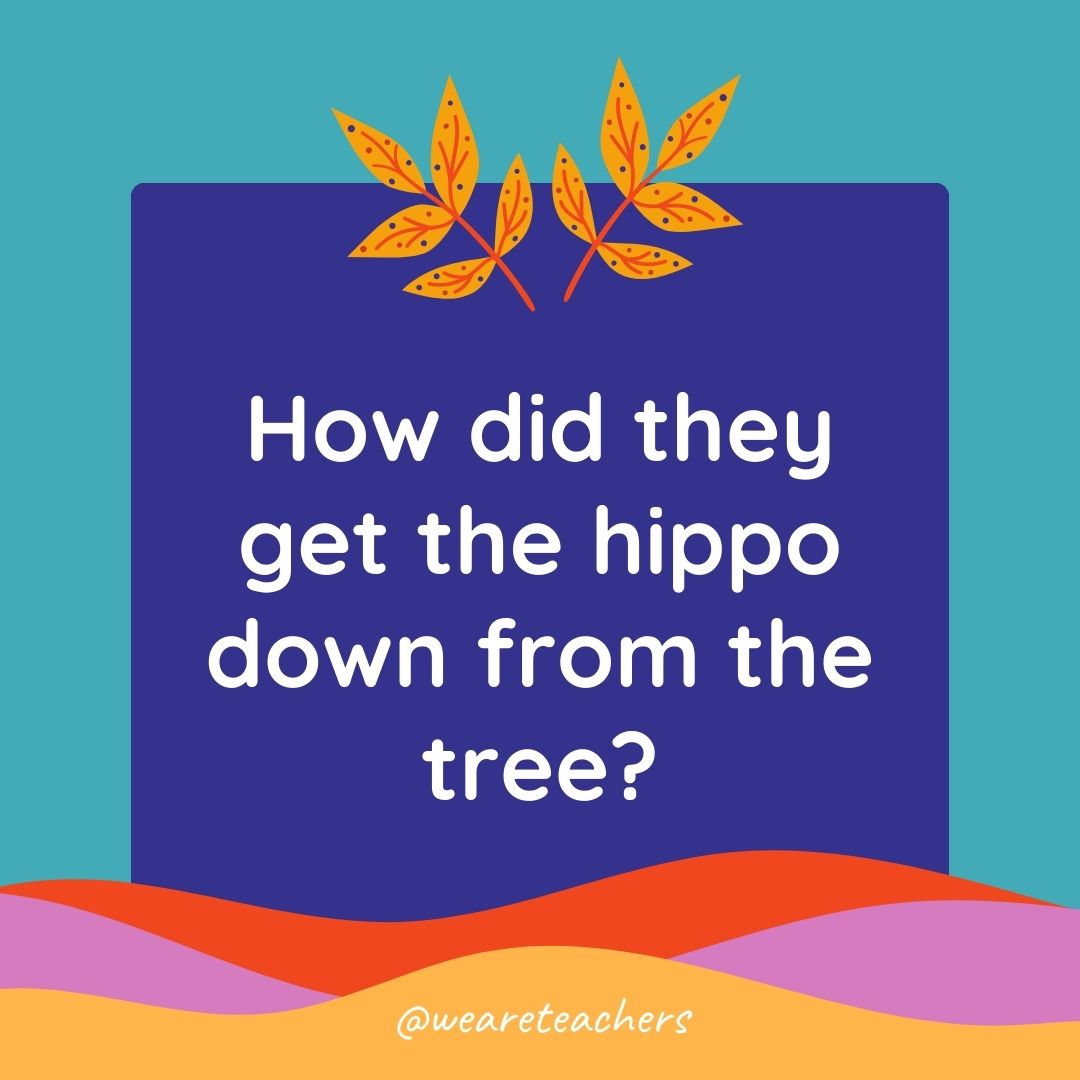 Animal Jokes for Kids