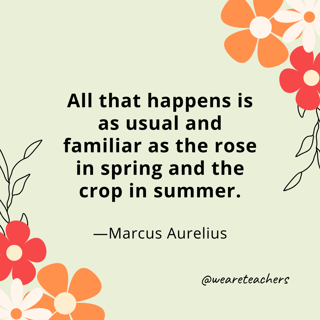 All that happens is as usual and familiar as the rose in spring and the crop in summer. - Marcus Aurelius- spring quotes