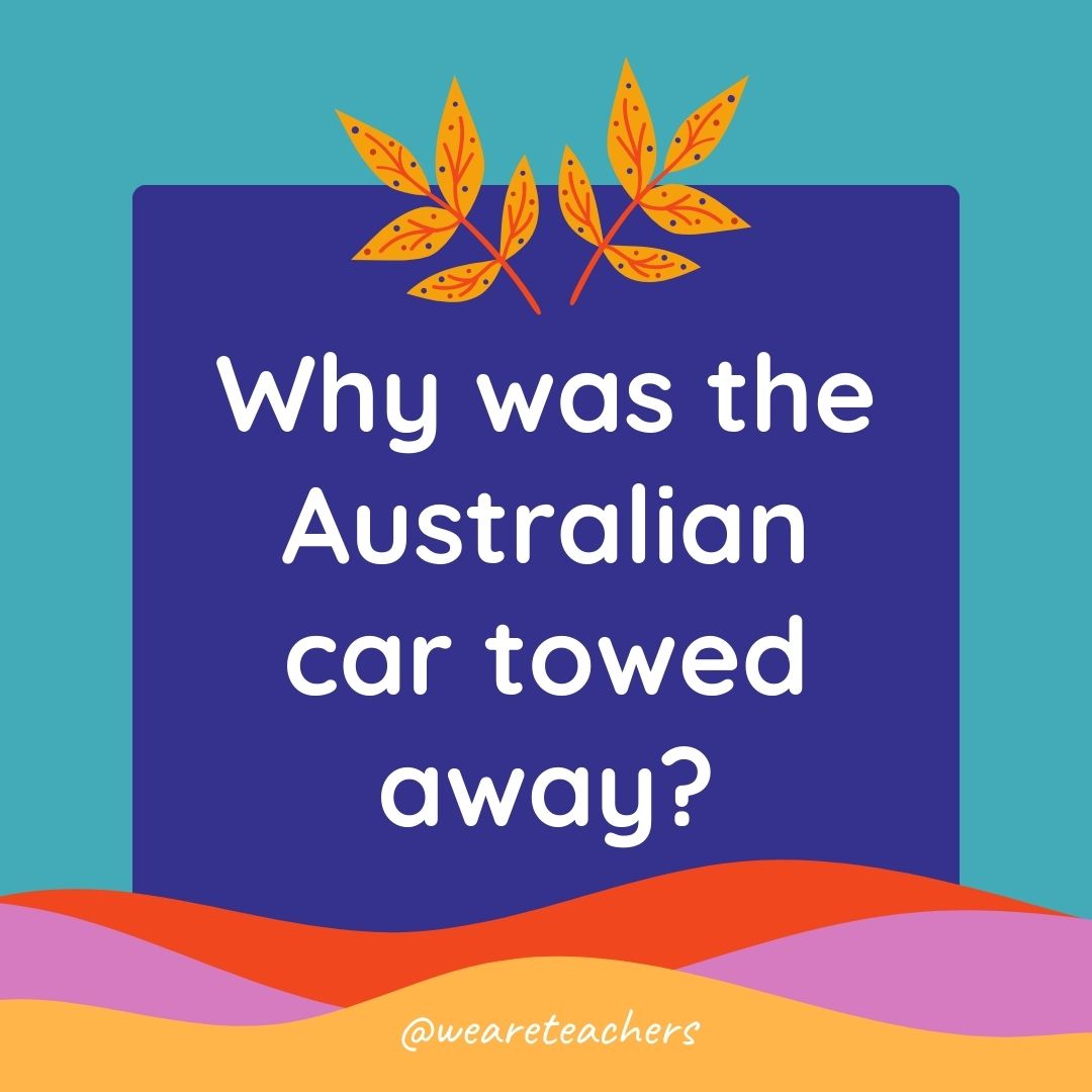 Animal Jokes for Kids