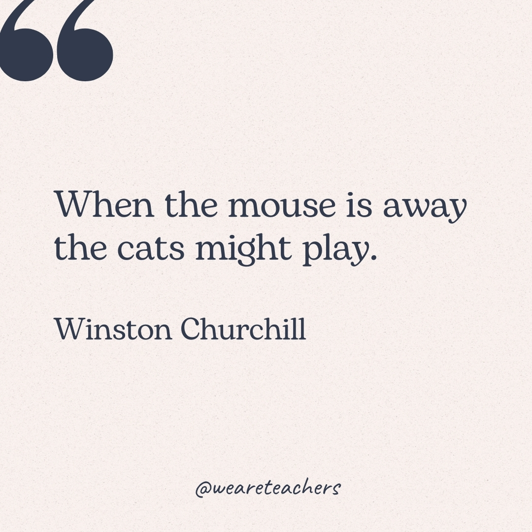 When the mouse is away the cats might play. -Winston Churchill