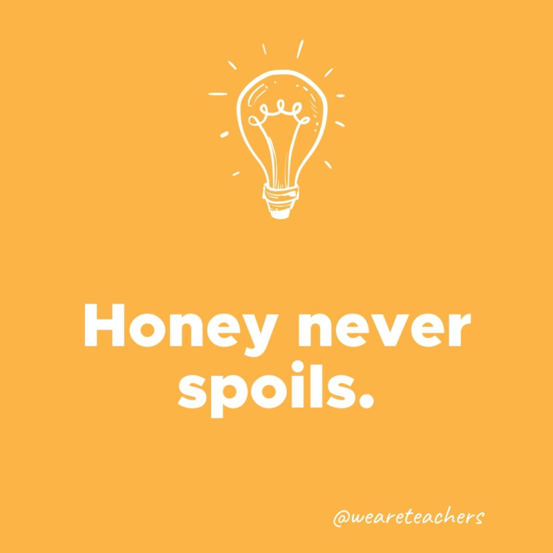 Honey never spoils. 