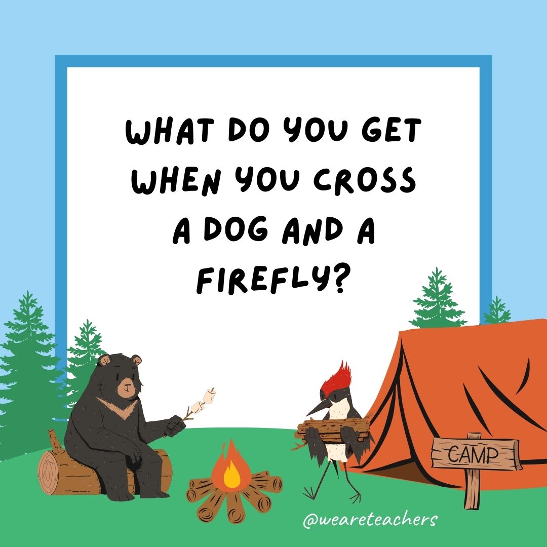60 Entertaining Camping Jokes for Kids - July 2025