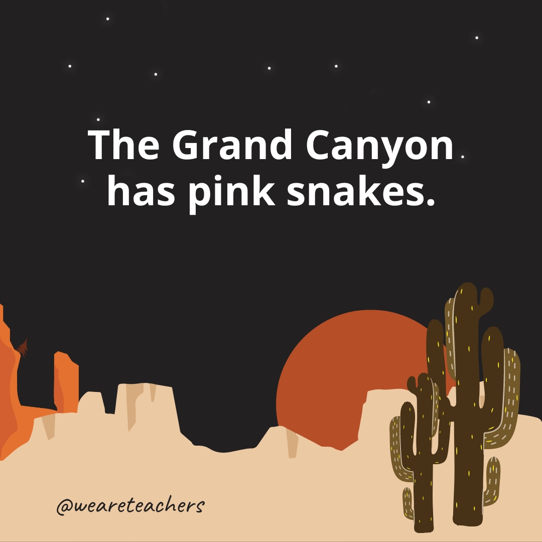 The Grand Canyon has pink snakes.