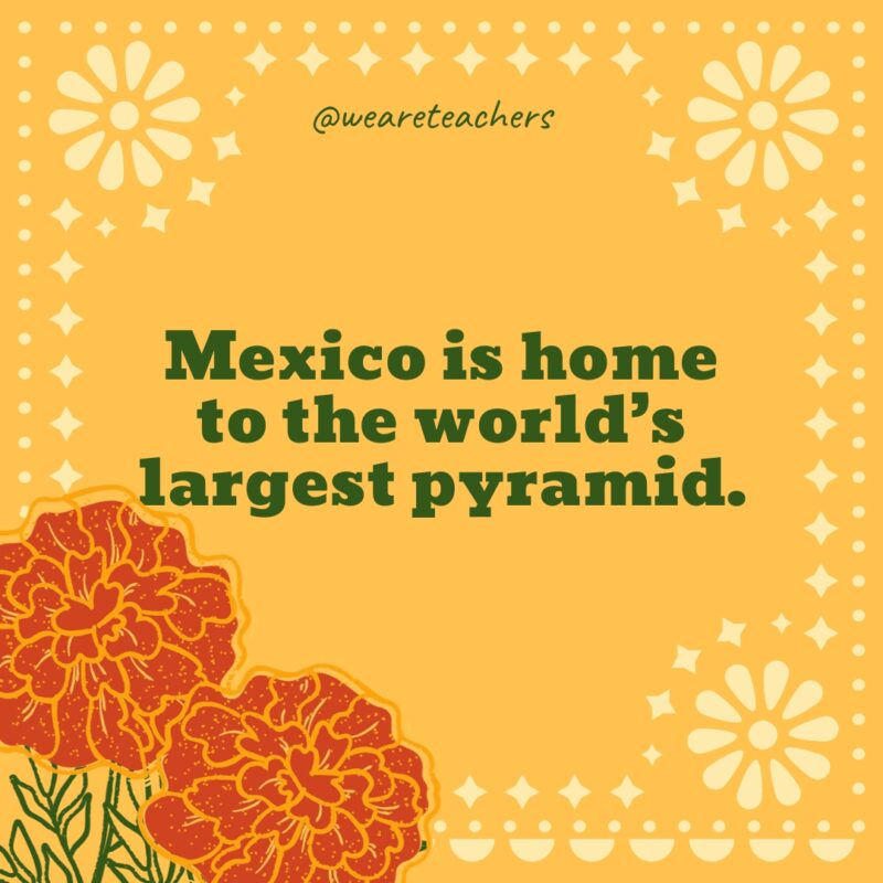  Mexico is home to the world’s largest pyramid.