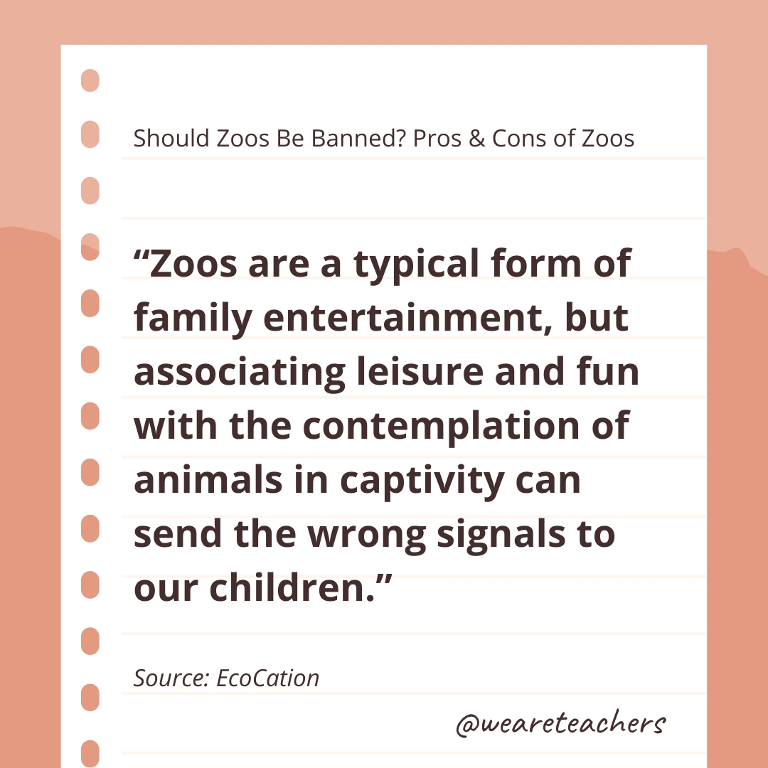 Should Zoos Be Banned? Pros & Cons of Zoos