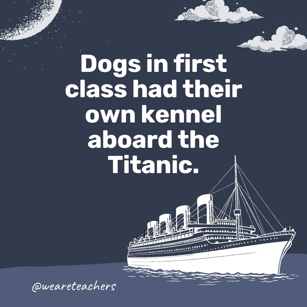 Dogs in first class had their own kennel aboard the Titanic.
