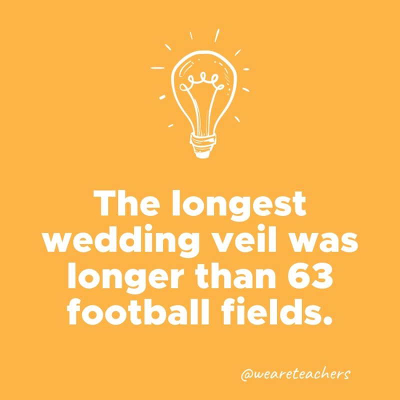 The longest wedding veil was longer than 63 football fields.