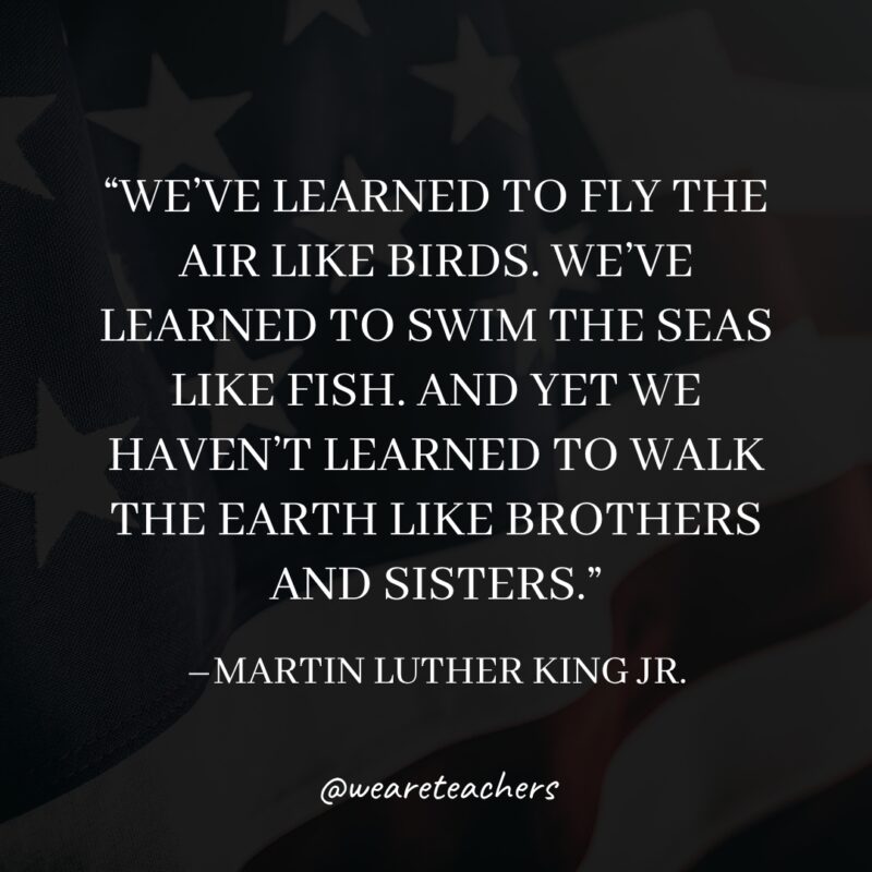 We've learned to fly the air like birds. We've learned to swim the seas like fish. And yet we haven't learned to walk the earth like brothers and sisters.- martin luther king jr. quotes
