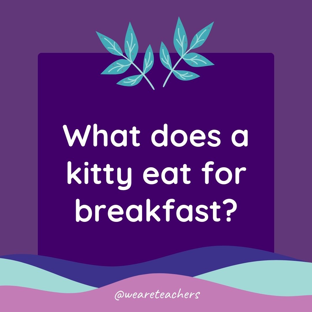 Animal Jokes for Kids