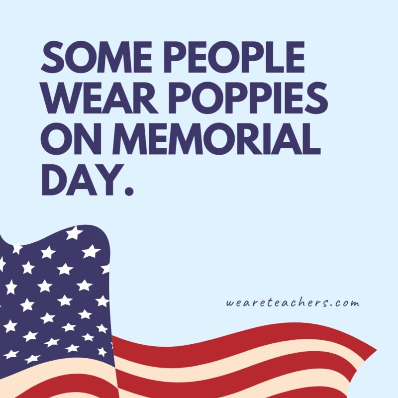 Some people wear poppies on Memorial Day.- Memorial Day facts
