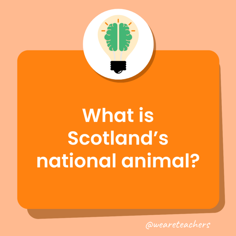 a trivia question for kids that states: What is Scotland’s national animal?