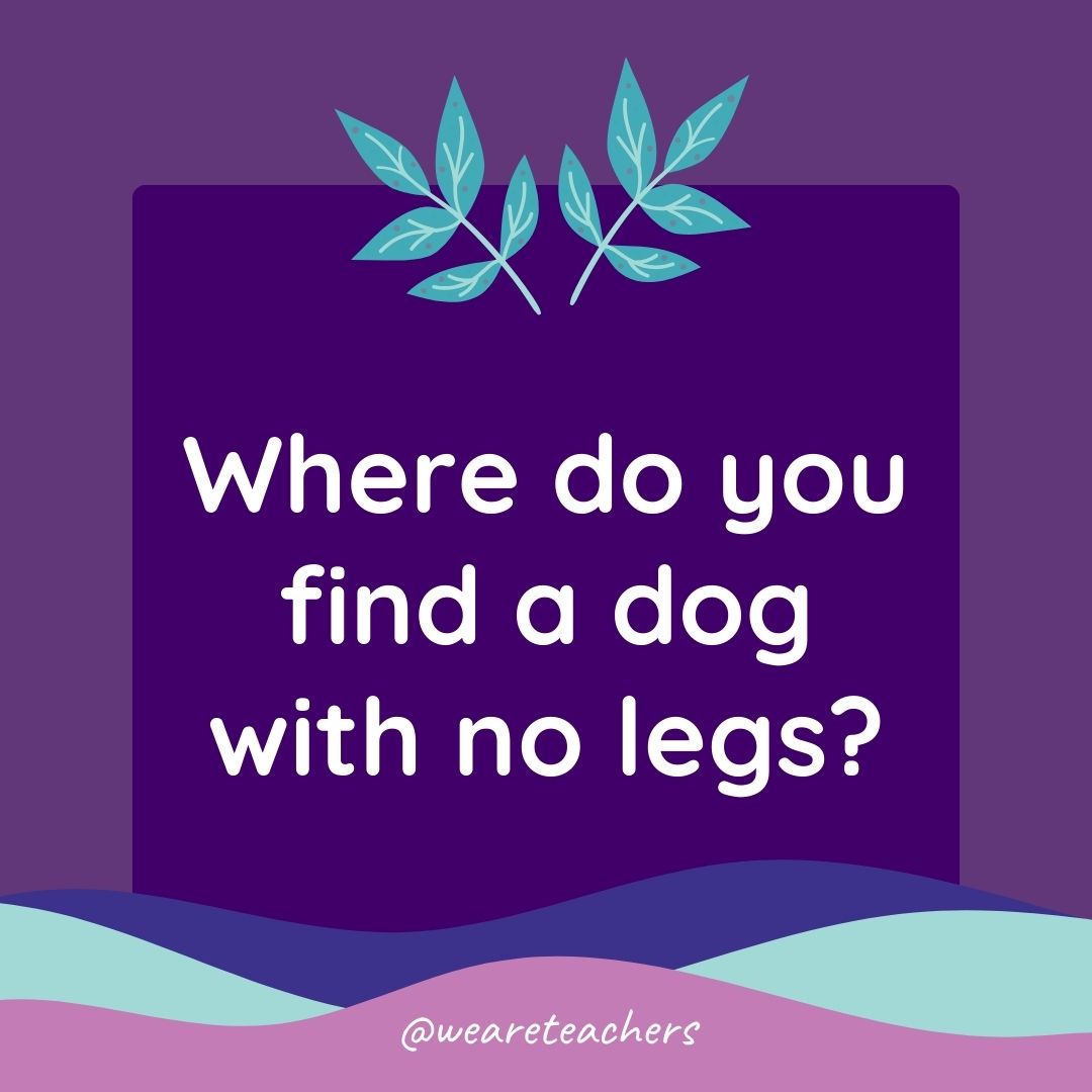 Animal Jokes for Kids