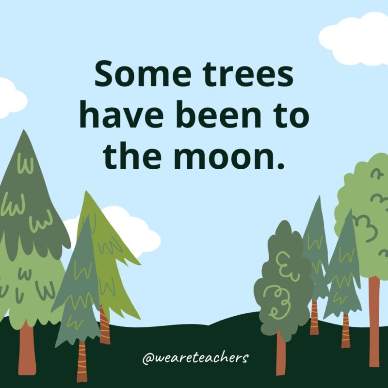 Some trees have been to the moon.