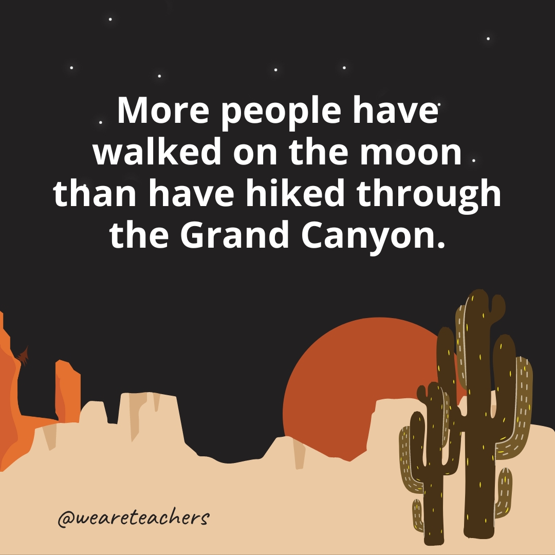 More people have walked on the moon than have hiked through the Grand Canyon.