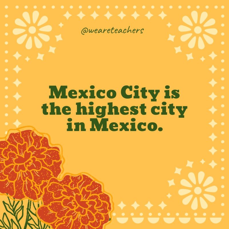 Mexico City is the highest city in Mexico.