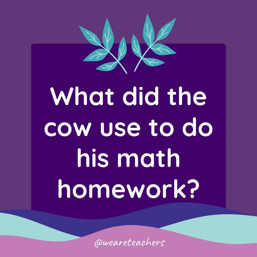 Animal Jokes for Kids