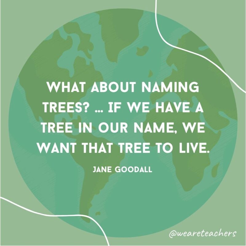 What about naming trees? ... If we have a tree in our name, we want that tree to live.