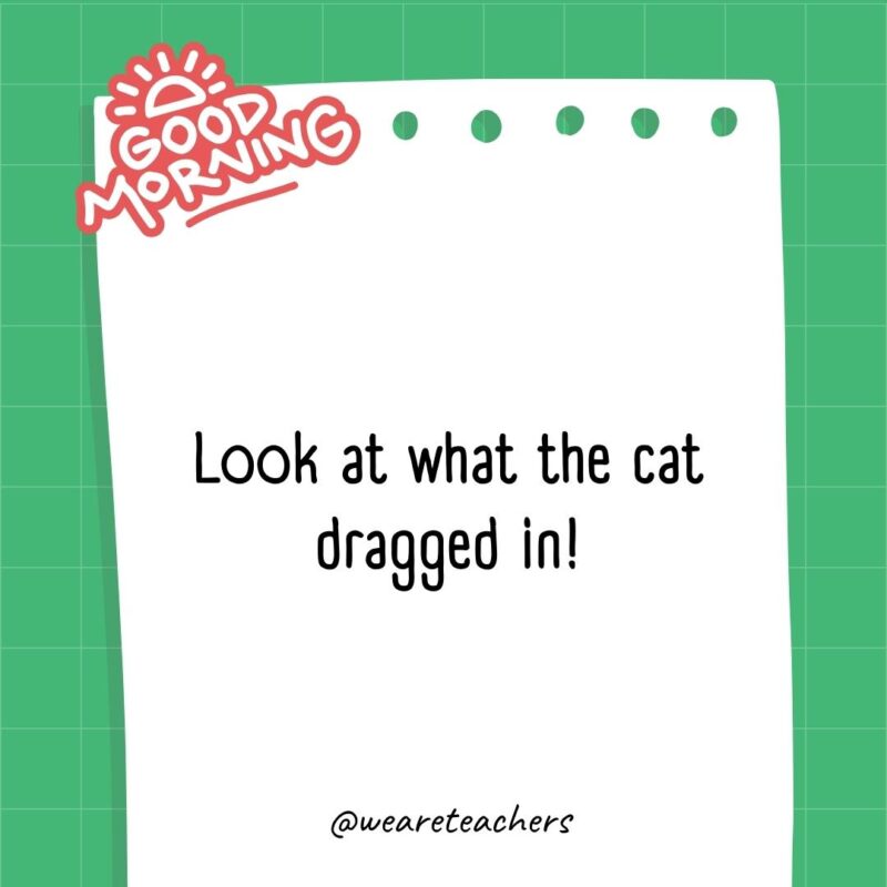 Look at what the cat dragged in!- good morning quotes