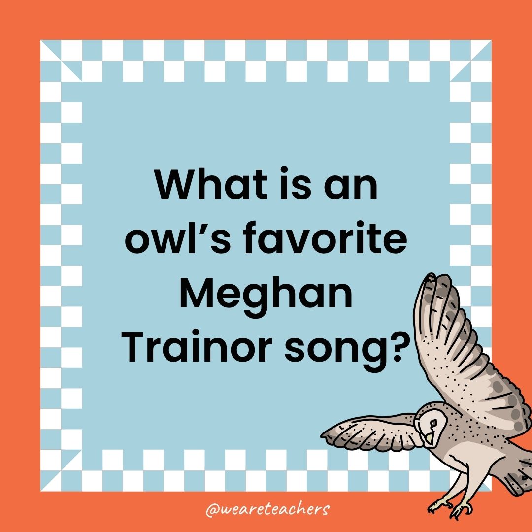 80-owl-jokes-that-are-a-hoot