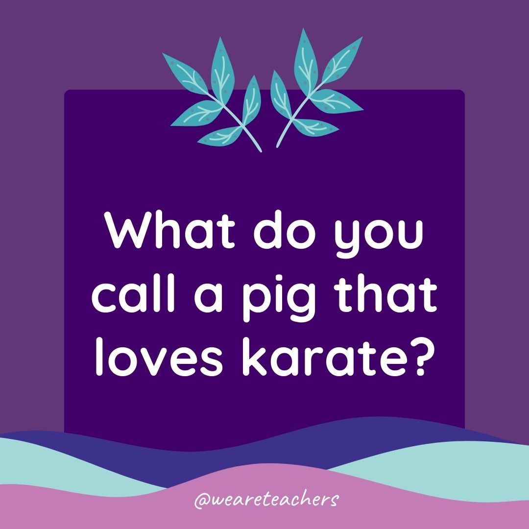 Animal Jokes for Kids