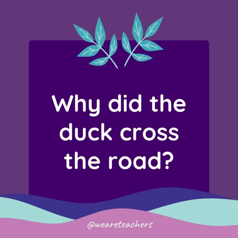 Animal Jokes for Kids