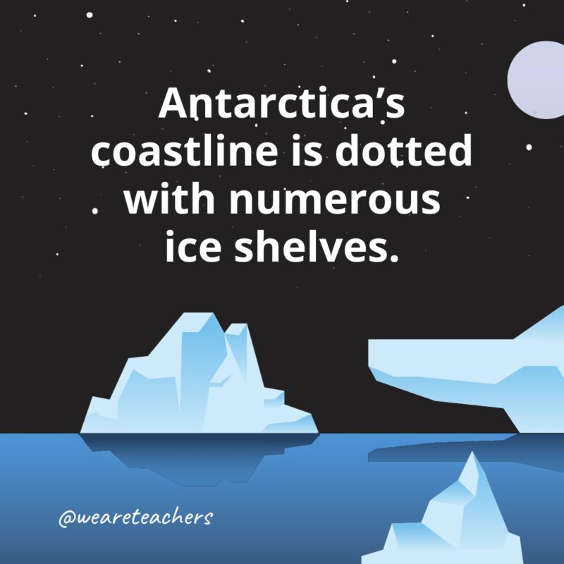 Antarctica's coastline is dotted with numerous ice shelves.