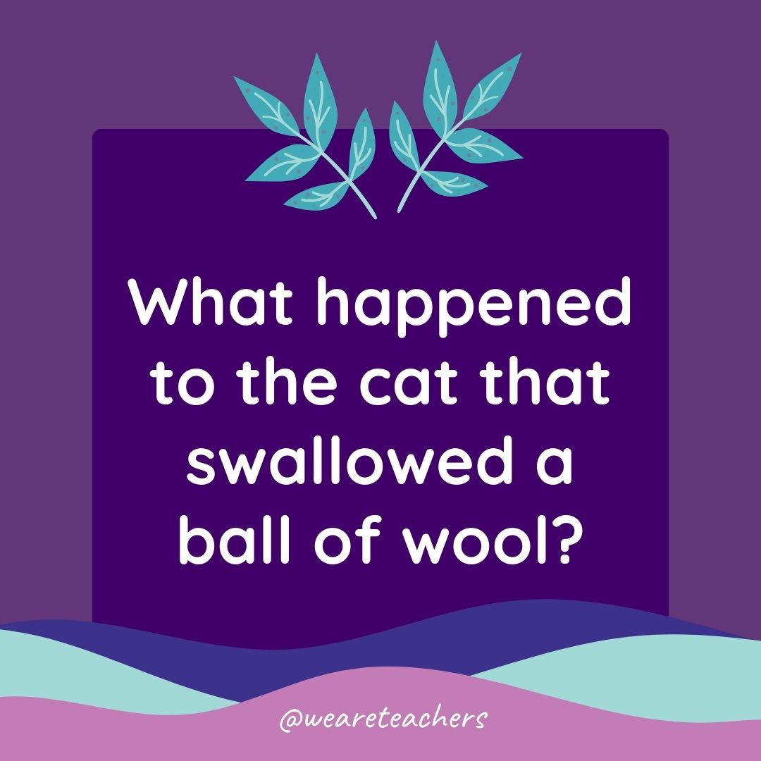 Animal Jokes for Kids