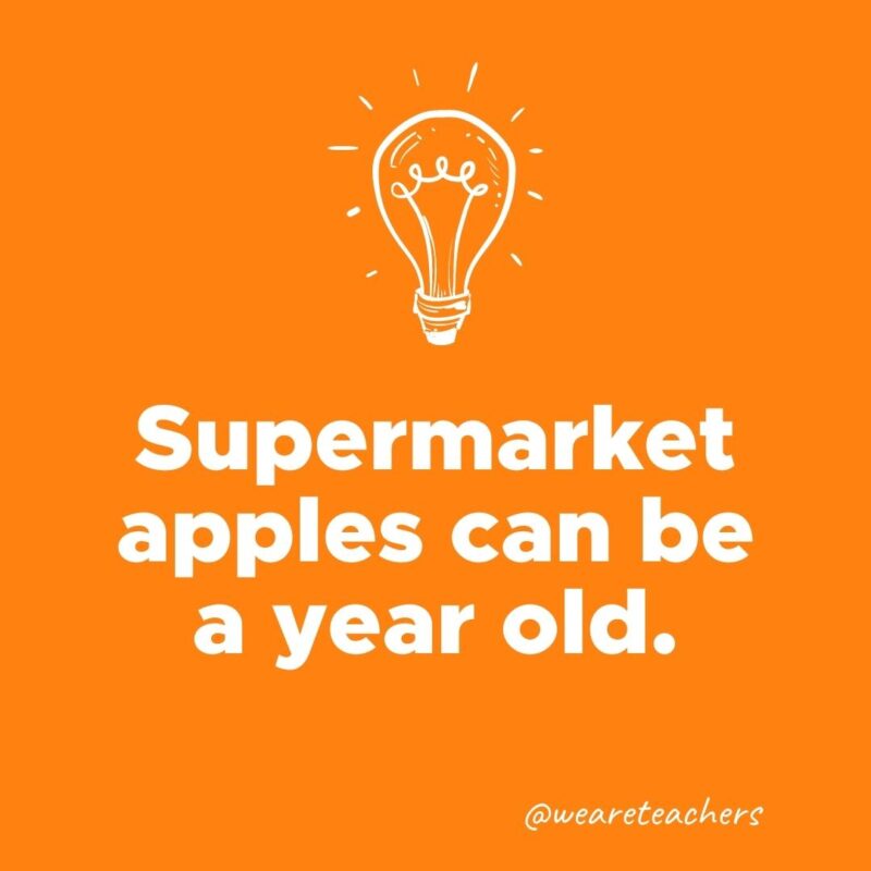 Supermarket apples can be a year old.- weird fun facts