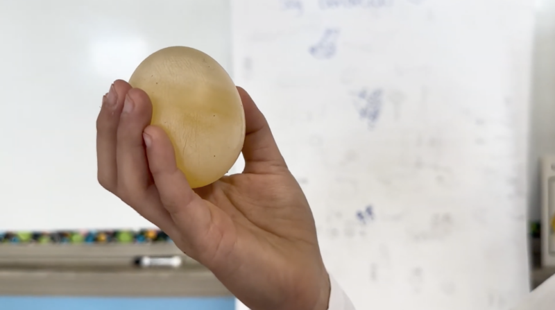 easy science experiment for kids: naked egg