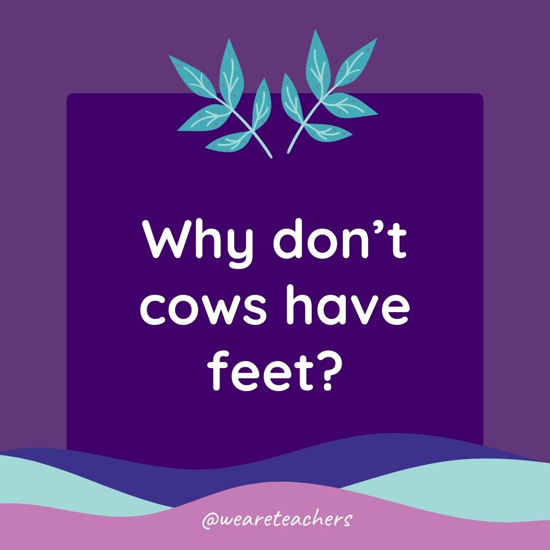 Animal Jokes for Kids