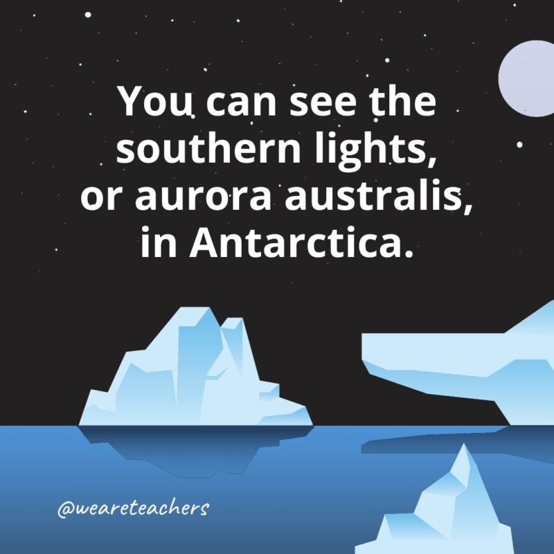 You can see the southern lights, or aurora australis, in Antarctica as example of Fun Facts About Antarctica for Kids..