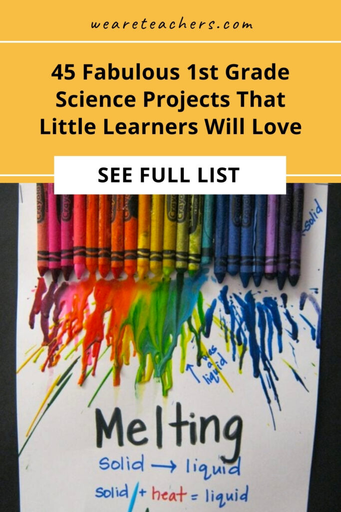 First grade science students will love these hands-on activities! Grow a rainbow, learn about camouflage, build a bird feeder, and more!