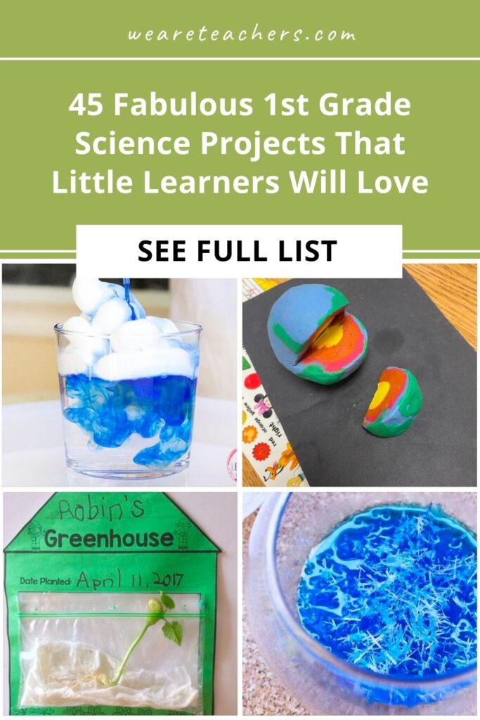 First grade science students will love these hands-on activities! Grow a rainbow, learn about camouflage, build a bird feeder, and more!