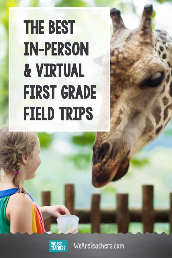 The Best In-Person and Virtual First Grade Field Trips