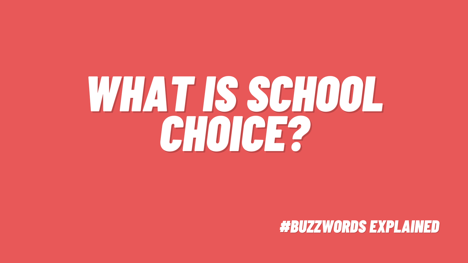 What is school choice