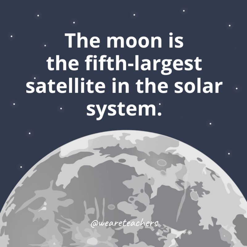 The moon is the fifth-largest satellite in the solar system as example of facts about the moon. 