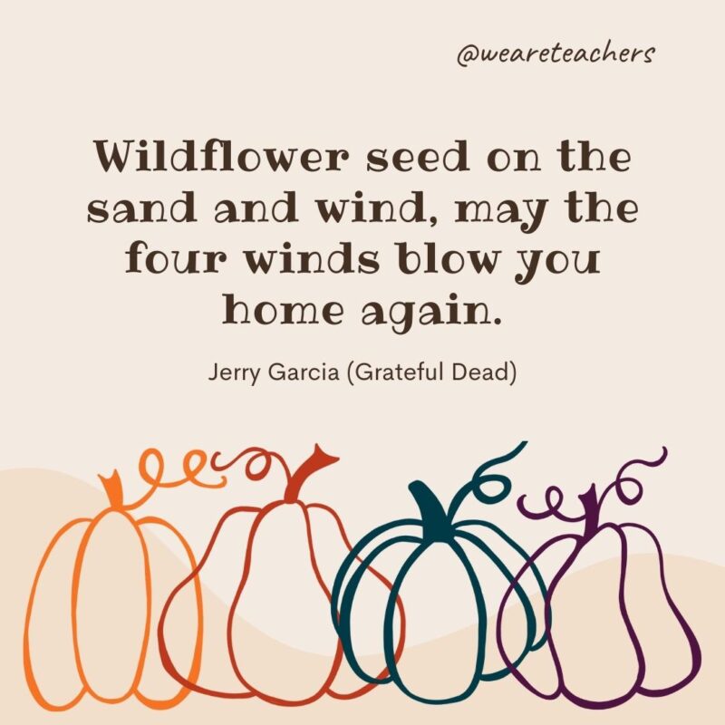 Wildflower seed on the sand and wind, may the four winds blow you home again. —Jerry Garcia (Grateful Dead)